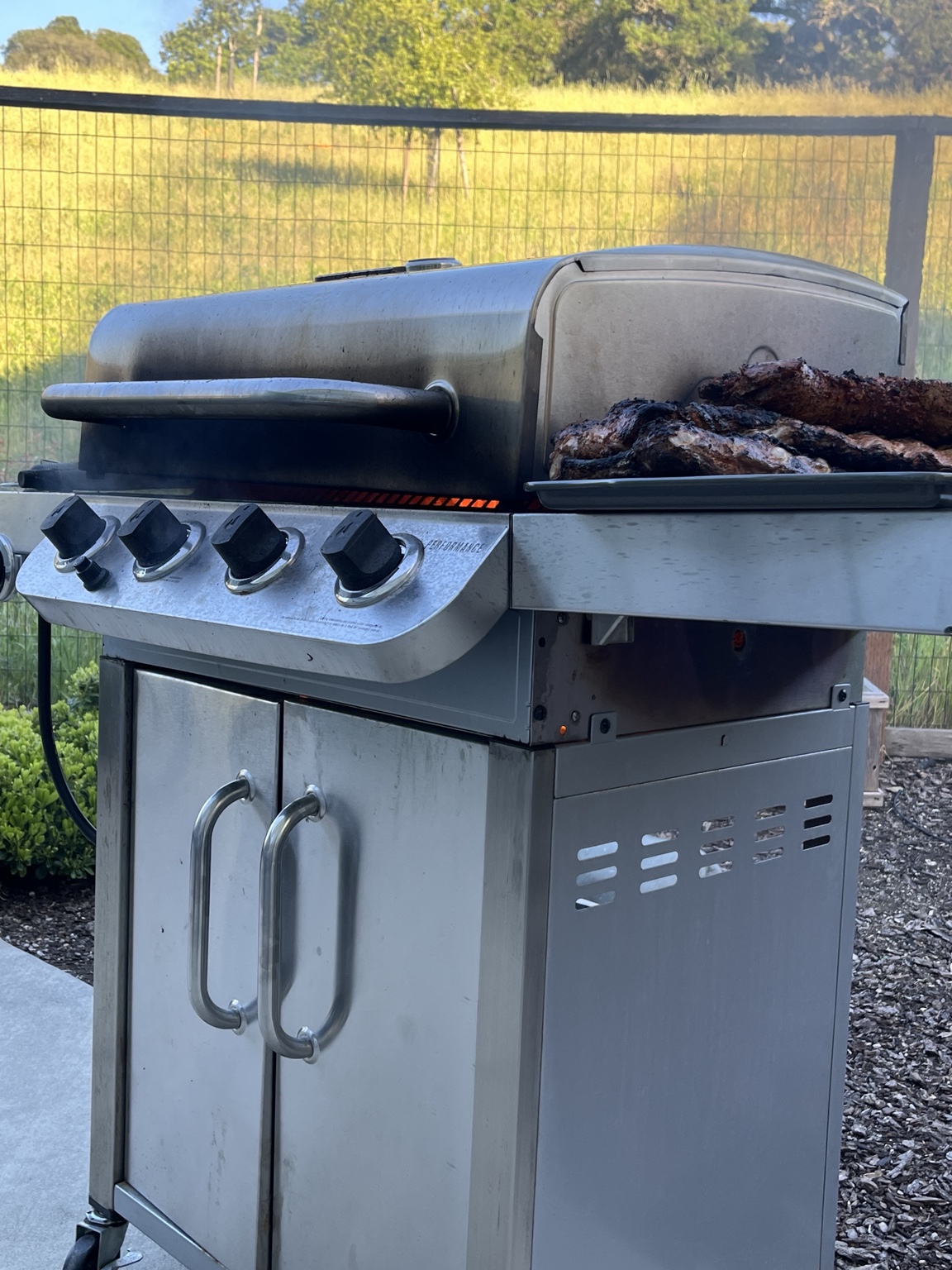 Dad Bods barbecue